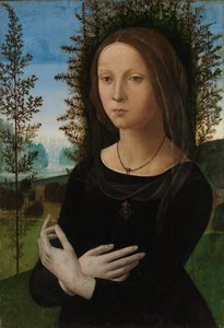若い女性の肖像、c.1475-80（木の油） 作： Lorenzo di Credi
