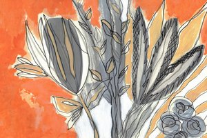  作： Lori Ann Folz