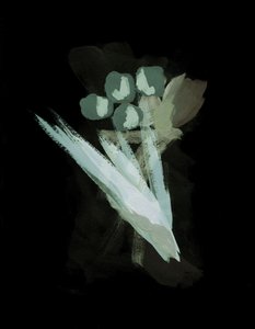  作： Lori Ann Folz