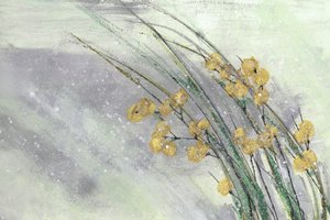 柔らかな黄色い花々