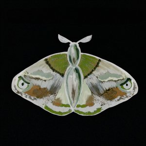 印象的な緑色の蛾 作： Lori Ann Folz