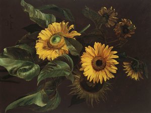 ひまわり、1839