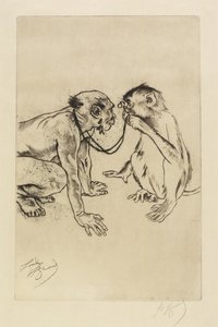 比較解剖学 作： Louis Auguste Mathieu Legrand