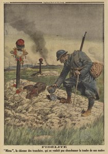 忠誠心。亡くなった主人の墓から離れようとしないフランス軍の犬（第一次世界大戦