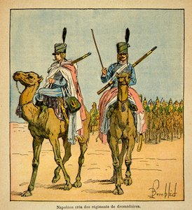 ボンブル・ルイ（1862-1927）が、エマニュエル・ド・ラス・カース伯爵（1766-1842）の著書「聖ヘレネの記念碑」から描いたイラスト。エジプト遠征の際、ナポレオン・ボナパルトはラクダの連隊を作った、プライベート・コレクション 作： Louis Charles Bombled