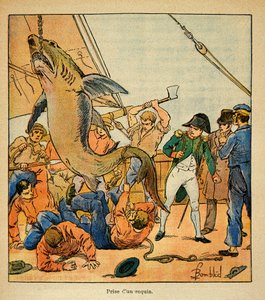 エマニュエル・ド・ラス・ケース伯爵（1766-1842）の著書『聖ヘレネの記念』からボンブル・ルイ（1862-1927）が描いたイラスト。ノーサンバーランド号でサメの捕獲に立ち会う皇帝ナポレオン、個人蔵 作： Louis Charles Bombled