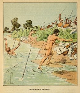 Henri Galli dit Galllichet (1854-1922)著、Louis Bombled (1862-1927)絵による「マダガスカルの戦争-1885-1895年のフランス遠征の逸話」。1895年、マロサコアでフランス人交渉人を攻撃するサカラベ人、個人蔵
