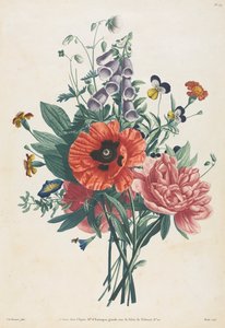 自然をモチーフに描かれた花と果物のコレクション: ジギタリス、クレマチス、パンジー、ピオニー、ポピー、イエロー デイリリーのブーケ