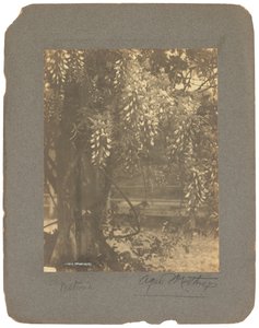 ティファニー スタジオ、1898～1920年頃（写真白黒） 作： Louis Comfort Tiffany