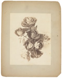 ティファニー スタジオ、1898～1920年頃（写真白黒）