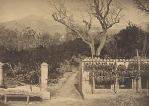山のある農業風景、1850年代