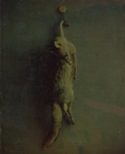 フォックス、カリフォルニア州。 1870年。 作： Louis Ducos du Hauron