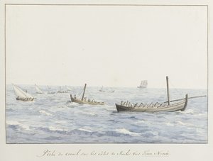 Koraalvissers voor de kust van Sicilië ter hoogte van Terra Nuova テッラ ヌオーヴァに向かうシチリア島の海岸でのサンゴ フィッシング (オブジェクトのタイトル) イタリア、シチリア、マルタの旅 - 1778 (シリーズタイトル) 作： Louis Ducros