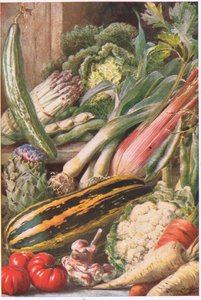 庭の野菜、「Garden Ways and Garden Days」のイラスト（カラーリソ） 作： Louis Fairfax Muckley