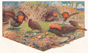 庭師バウアーバーズ、1911、1911 作： Louis Fairfax Muckley