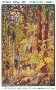 針葉樹時代の巨大な植生（カラーリトグラフ） 作： Louis Fairfax Muckley