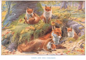 ビクセンと彼女の子供たち、「Country Ways and Country Days」のイラスト（カラーリソ） 作： Louis Fairfax Muckley