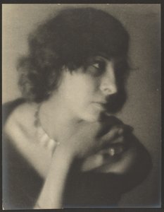  作： Louis Fleckenstein