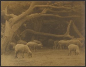 古代の森 作： Louis Fleckenstein