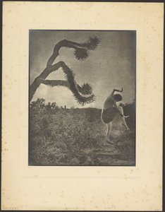  作： Louis Fleckenstein