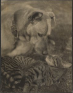  作： Louis Fleckenstein