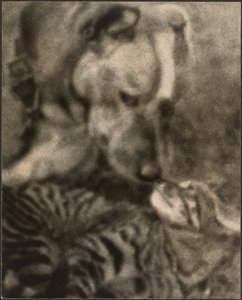  作： Louis Fleckenstein
