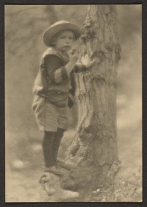  作： Louis Fleckenstein