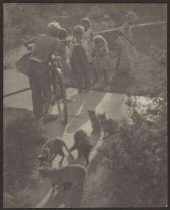  作： Louis Fleckenstein