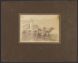 [犬に引かれた荷車に乗った子供たち］。 作： Louis Fleckenstein