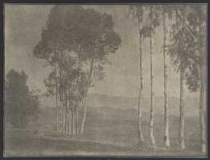[クラウディアンの風景] 作： Louis Fleckenstein