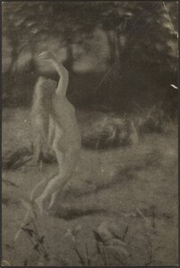  作： Louis Fleckenstein