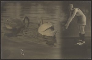 [白鳥と海女のコンポジット］