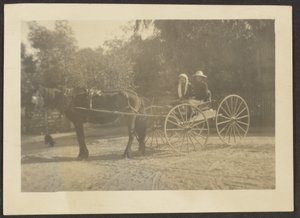 [馬車のカップル] 作： Louis Fleckenstein