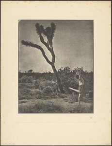  作： Louis Fleckenstein