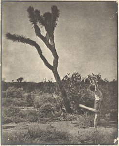  作： Louis Fleckenstein