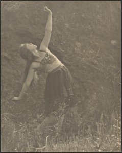  作： Louis Fleckenstein