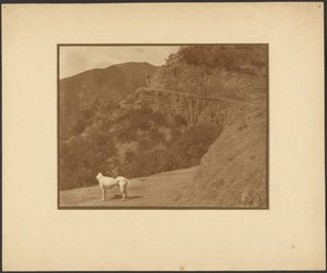 [山岳風景の中の犬と女性] 作： Louis Fleckenstein