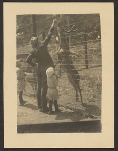 [鹿の餌付け］ 作： Louis Fleckenstein