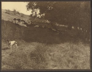  作： Louis Fleckenstein