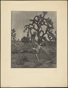  作： Louis Fleckenstein
