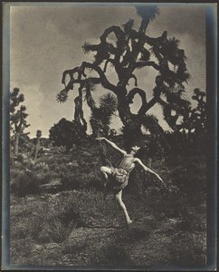  作： Louis Fleckenstein