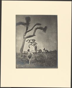  作： Louis Fleckenstein