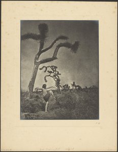  作： Louis Fleckenstein