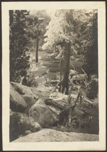 風景 作： Louis Fleckenstein