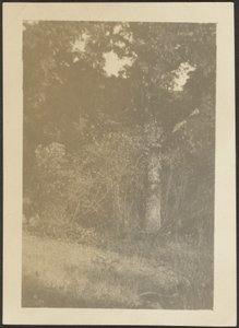 風景 作： Louis Fleckenstein