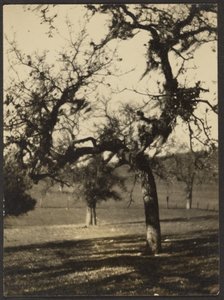 風景 作： Louis Fleckenstein