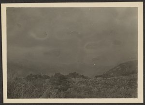 風景 作： Louis Fleckenstein