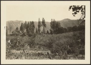 風景 作： Louis Fleckenstein