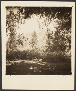 風景 作： Louis Fleckenstein