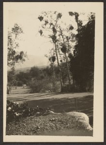 風景 作： Louis Fleckenstein